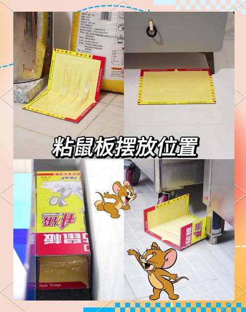 粘鼠板使用全攻略 選對(duì)位置與方法，輕松高效滅鼠
