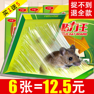 虎貓汽車驅(qū)鼠器360購物全面指南 超聲波技術(shù)解析與360購物現(xiàn)場(chǎng)測(cè)試對(duì)比粘鼠板汽車使用，買不買先看，體驗(yàn)真實(shí)